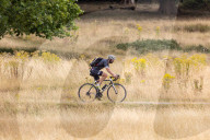 England drought fears after dryest July for 100 years.