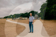 Poisoned oaks, slain sycamores: who’s behind Britain’s tree murders?