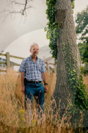 Poisoned oaks, slain sycamores: who’s behind Britain’s tree murders?