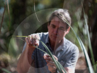 'Kingdom of the ant': northern Australia boasts more than 5,000 species