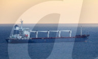 NEWS - Das mit ukrainischem Getreide beladene Schiff Razoni im Bosporus