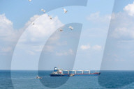 NEWS - Das mit ukrainischem Getreide beladene Schiff Razoni im Bosporus