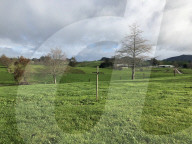 The paddock that became a grave for the people New Zealand branded ‘defective’ – and chose to forget.