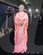 Premier of The Sandman 
Red carpet arrivals at The BFI British Film Institute, London
