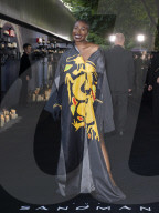 Premier of The Sandman 
Red carpet arrivals at The BFI British Film Institute, London