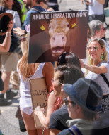 Animal Rebellion March