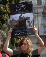 Animal Rebellion March