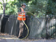 NEWS - Frühmorgens in der ausgedörrten Rasenlandschaft des Hyde Parks in London