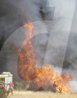 Firefighters put out a grass fire at Hollow Ponds in Leytonstone, East London.