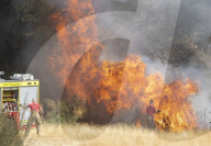 Firefighters put out a grass fire at Hollow Ponds in Leytonstone, East London.