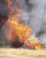 Firefighters put out a grass fire at Hollow Ponds in Leytonstone, East London.
