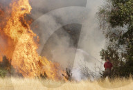 Firefighters put out a grass fire at Hollow Ponds in Leytonstone, East London.