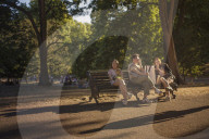 Parched: London, dried out – in pictures