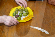 ‘They’re like our children’: gooseberry growers compete at Yorkshire show.