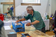 ‘They’re like our children’: gooseberry growers compete at Yorkshire show.