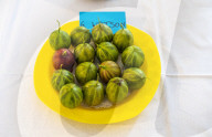 ‘They’re like our children’: gooseberry growers compete at Yorkshire show.