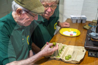 ‘They’re like our children’: gooseberry growers compete at Yorkshire show.