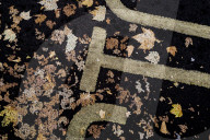 Parched: London, dried out – in pictures
