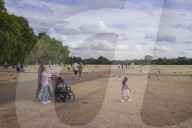 Parched: London, dried out – in pictures