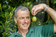 ‘They’re like our children’: gooseberry growers compete at Yorkshire show.
