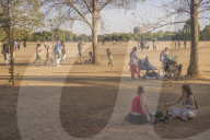 Parched: London, dried out – in pictures