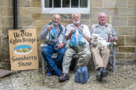‘They’re like our children’: gooseberry growers compete at Yorkshire show.