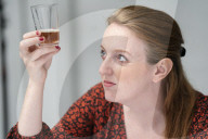 The Great British Beer Festival