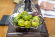‘They’re like our children’: gooseberry growers compete at Yorkshire show.