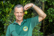 ‘They’re like our children’: gooseberry growers compete at Yorkshire show.