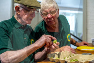 ‘They’re like our children’: gooseberry growers compete at Yorkshire show.