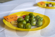 ‘They’re like our children’: gooseberry growers compete at Yorkshire show.