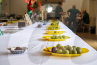 ‘They’re like our children’: gooseberry growers compete at Yorkshire show.