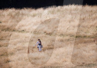 NEWS - GB: Erneute Hitzwelle in London