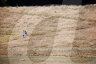 NEWS - GB: Erneute Hitzwelle in London