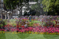Warm weather during a heatwave as Londoners relax in Embankment Gardens, London