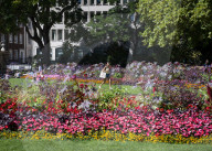 Warm weather during a heatwave as Londoners relax in Embankment Gardens, London