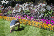 Warm weather during a heatwave as Londoners relax in Embankment Gardens, London