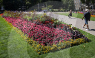 Warm weather during a heatwave as Londoners relax in Embankment Gardens, London