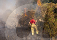 Grass fire in London