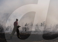 Grass fire in London