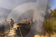 Grass fire in London