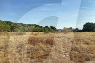 The Nation in drought