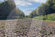 The Nation in drought