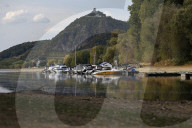 NEWS - Deutschland: Der Rhein bei Niedrigwasser