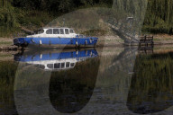 NEWS - Deutschland: Der Rhein bei Niedrigwasser