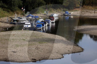NEWS - Deutschland: Der Rhein bei Niedrigwasser