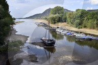 NEWS - Deutschland: Der Rhein bei Niedrigwasser