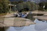 NEWS - Deutschland: Der Rhein bei Niedrigwasser