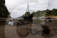 NEWS - Deutschland: Der Rhein bei Niedrigwasser