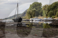 NEWS - Deutschland: Der Rhein bei Niedrigwasser